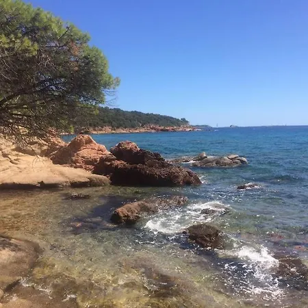 Villa Les Lauriers Roses Palombaggia Porto-vecchio